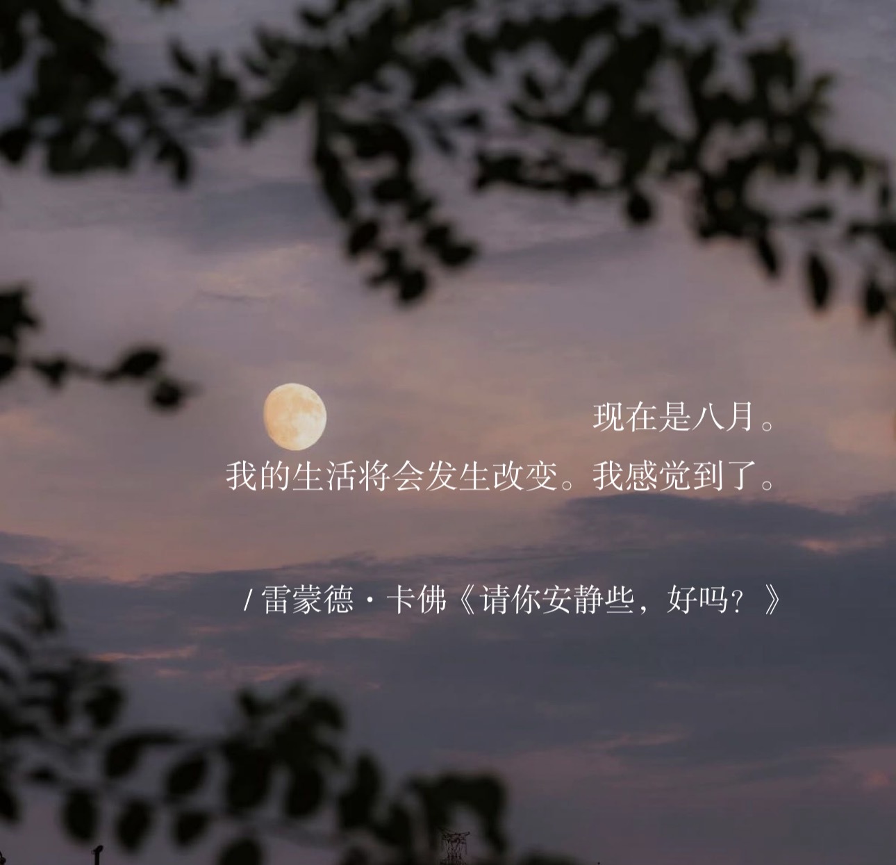 现在是八月。我的生活将会发生改变。我感觉到了。早安。 