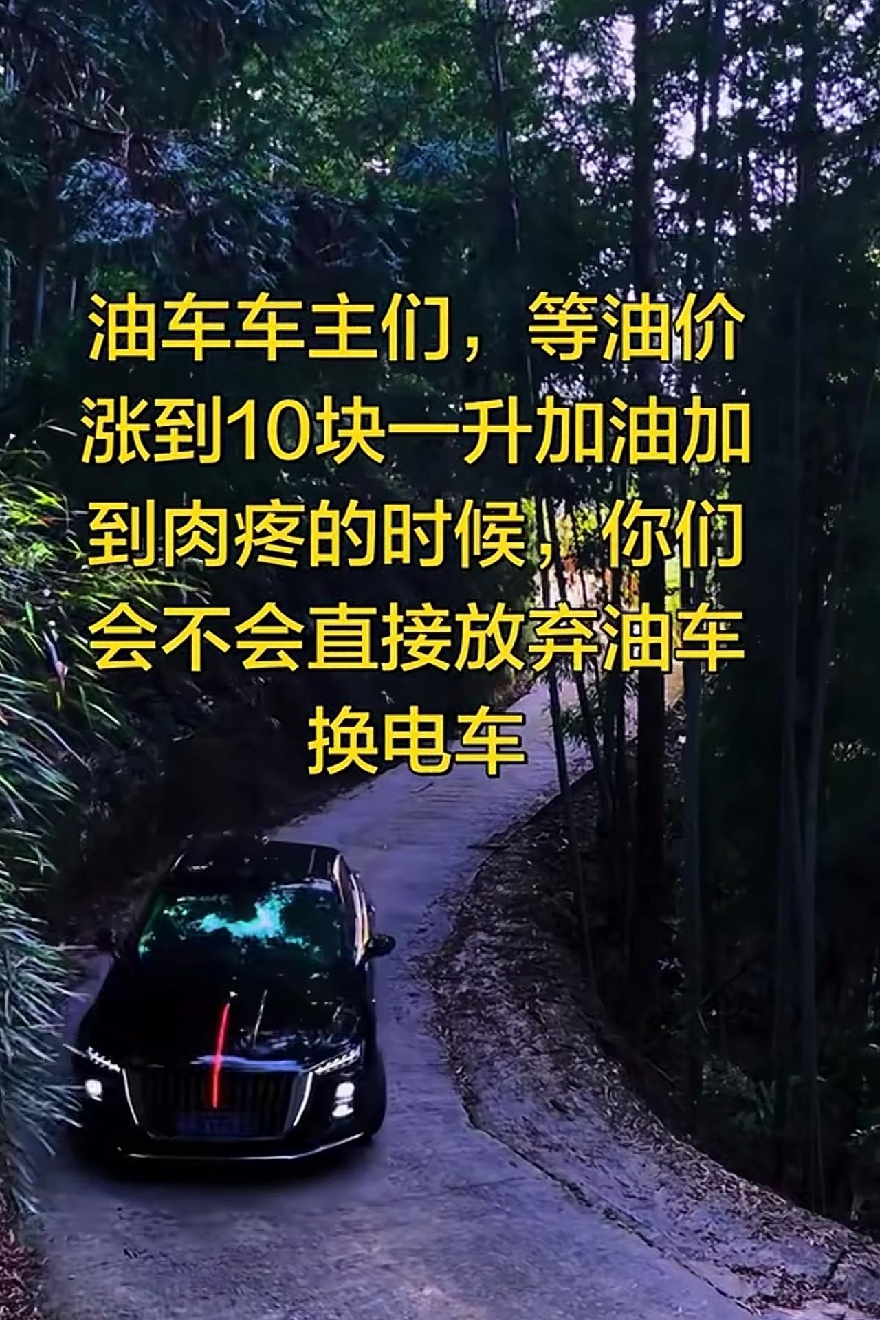 怎么可能，等两桶油破产了，那时私人油站的油只要2.8元一升