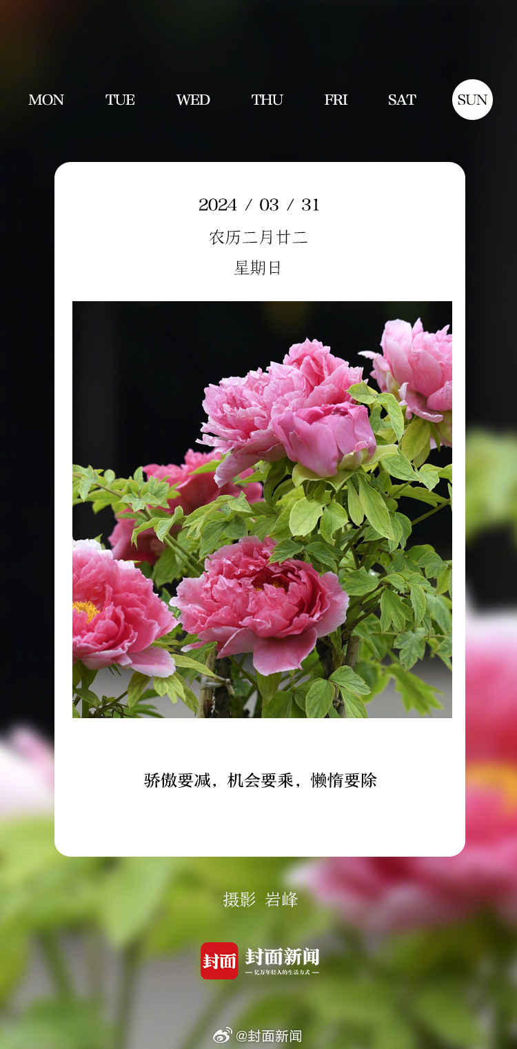 #小封日历#今天周天啦~已经起床的请举手～[全力以赴] ​​​