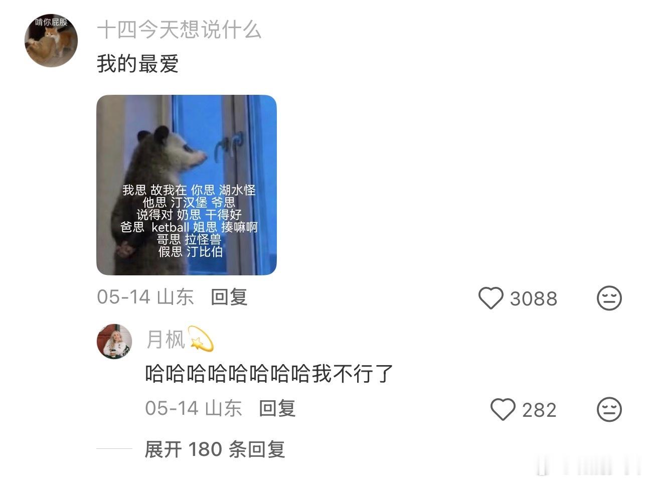谁能拒绝一只负鼠呢 这不就是我的人生格言嘛