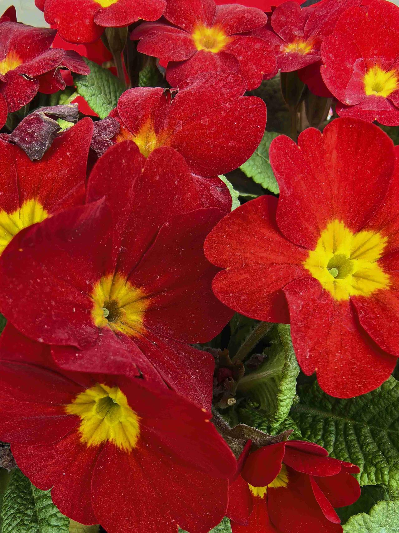 我的今日状态：😁轻松愉快
我这里的天气：☀️晴天
马上过年🧨🧨🧨🧨