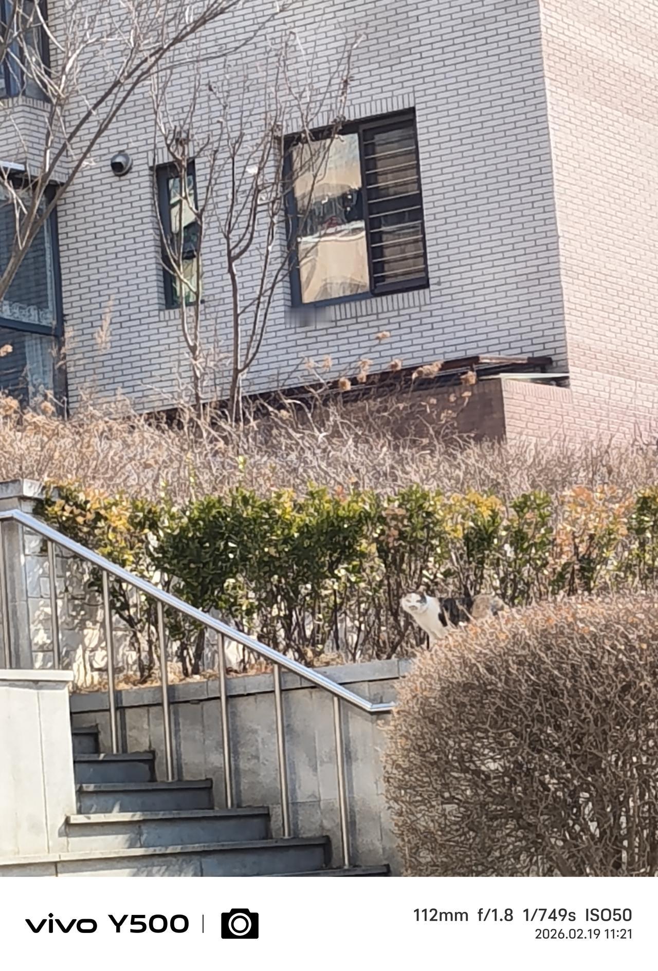 看相册，不明白自己拍这几张照片是为了什么？不是美景也没有什么吸引人的地方。
  