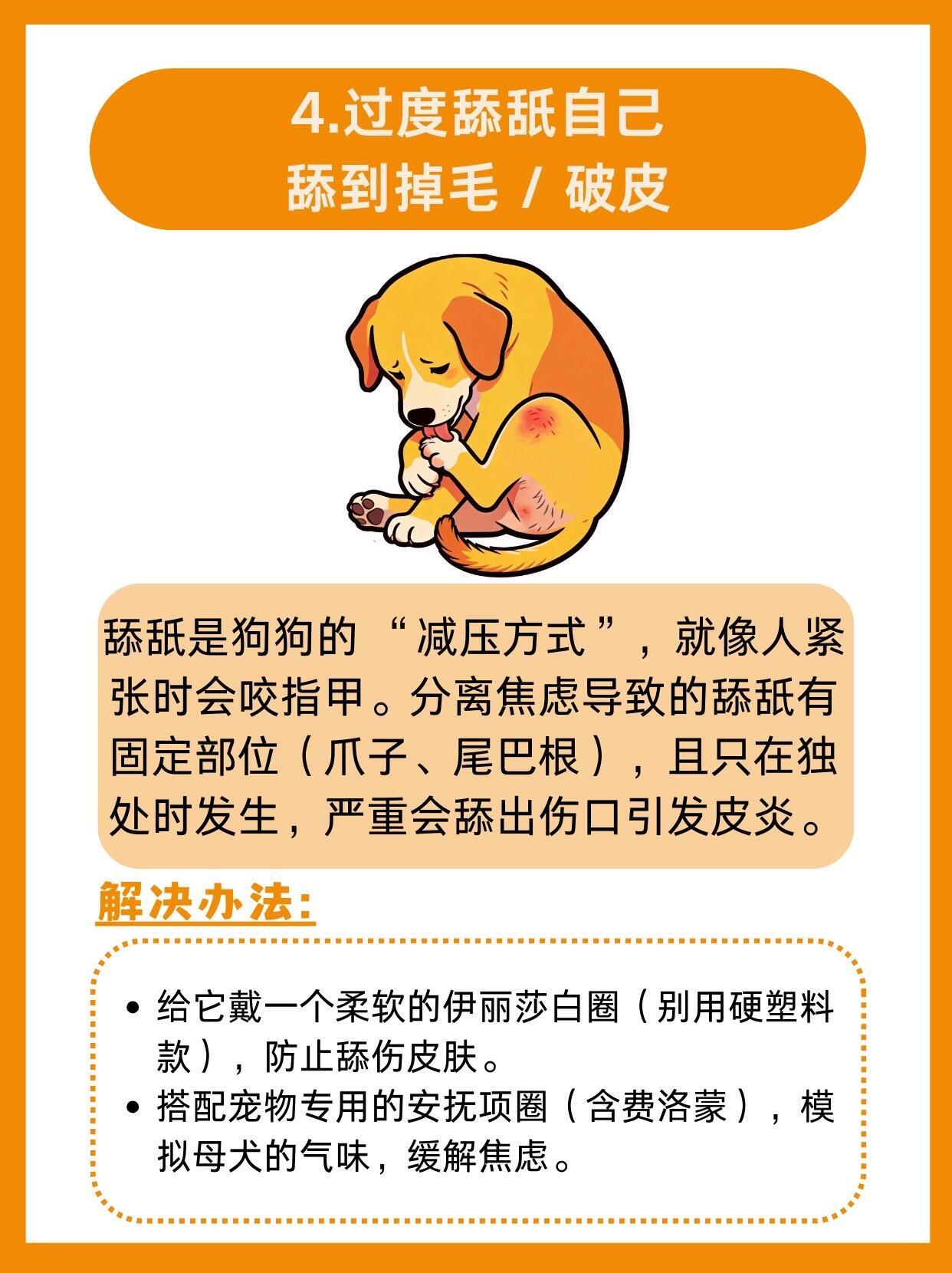 离职要上交公司小狗 狗狗拆家、吠叫、乱排泄，不一定是调皮捣蛋，也可能是分离焦虑的