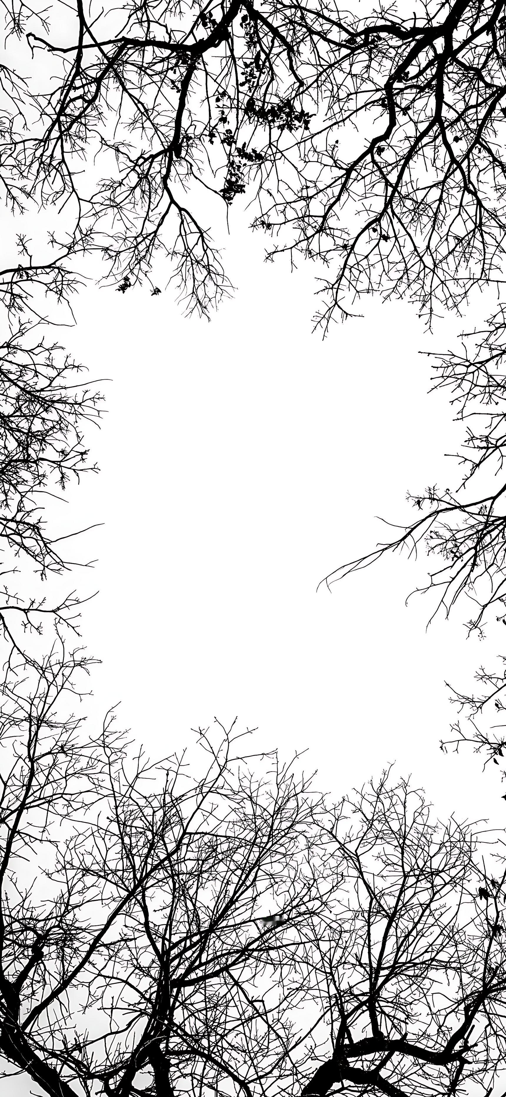 莱分享[超话] 今日 iPhone 壁纸分享 ​​​