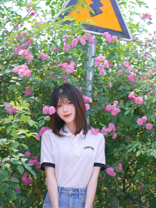 四月的浪漫是蔷薇花给的🩵