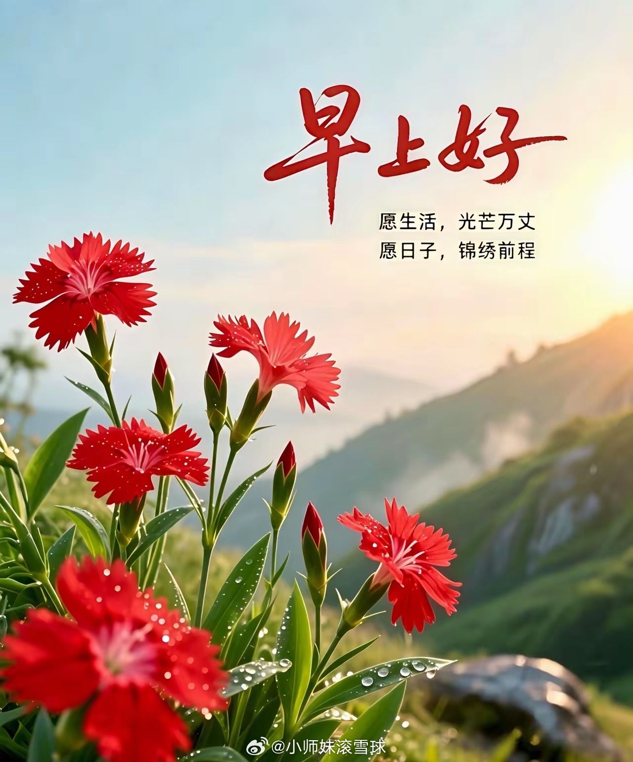 早安各位家人们！新来的老铁前来冒泡打卡报到，评论区热闹起来，多多点赞留言，评论扣