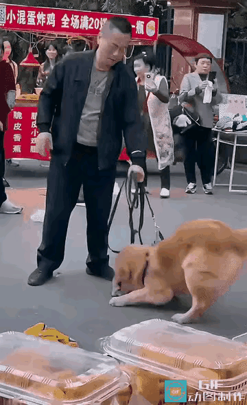 这个养狗的人，对自己的狗爱护有加，对别人家的狗冷酷至极，严格一点说，这不是一个真