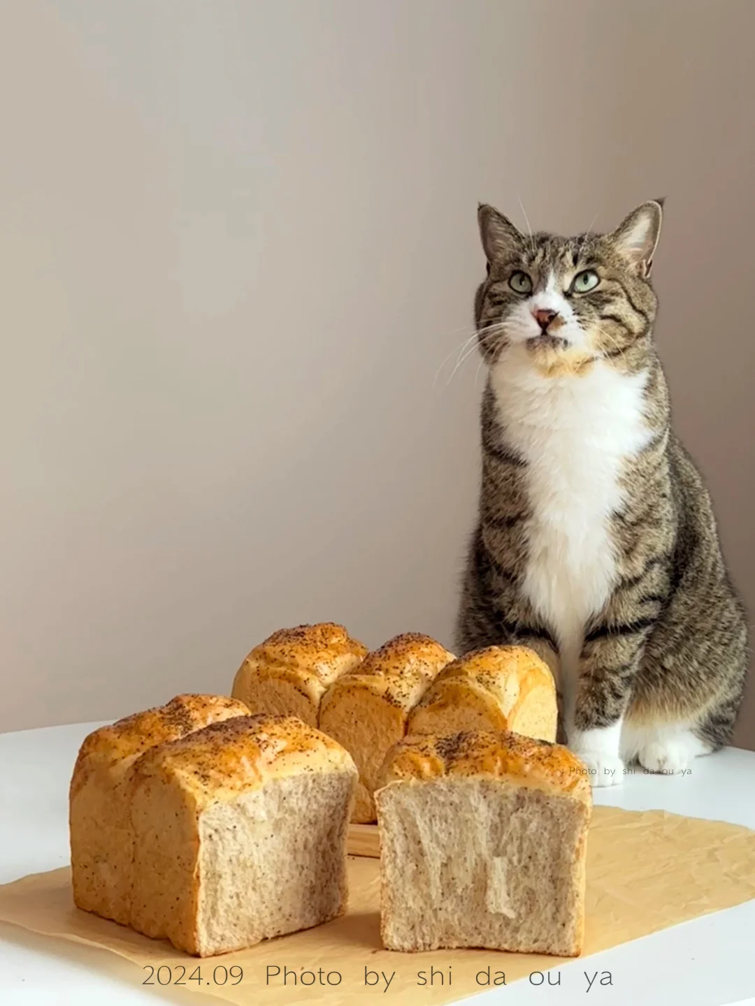 无油糖❗️红茶全麦吐司面包🍞免揉手套膜🧤