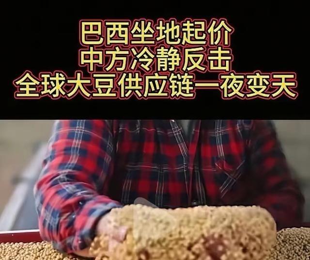 全世界都以为中国是傻瓜，人傻钱多，都在等机会狠狠敲诈中国一笔，巴西大豆握着中国7