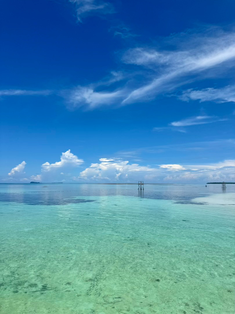 确诊为看海型人格 听说人生的终极目标就是躺在海边喝咖啡。 