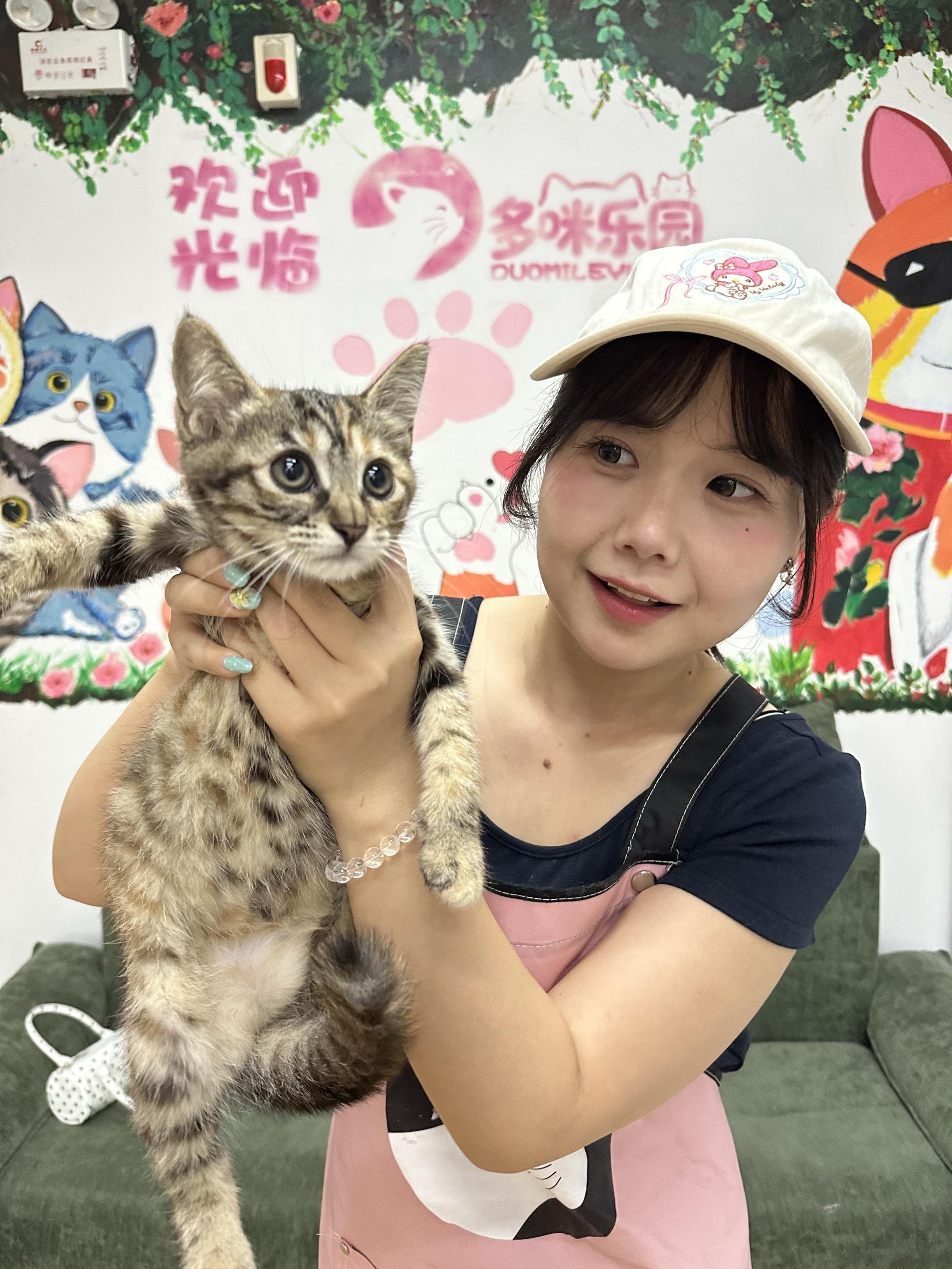 鹤壁想领养小茂密的宝宝看过来啦