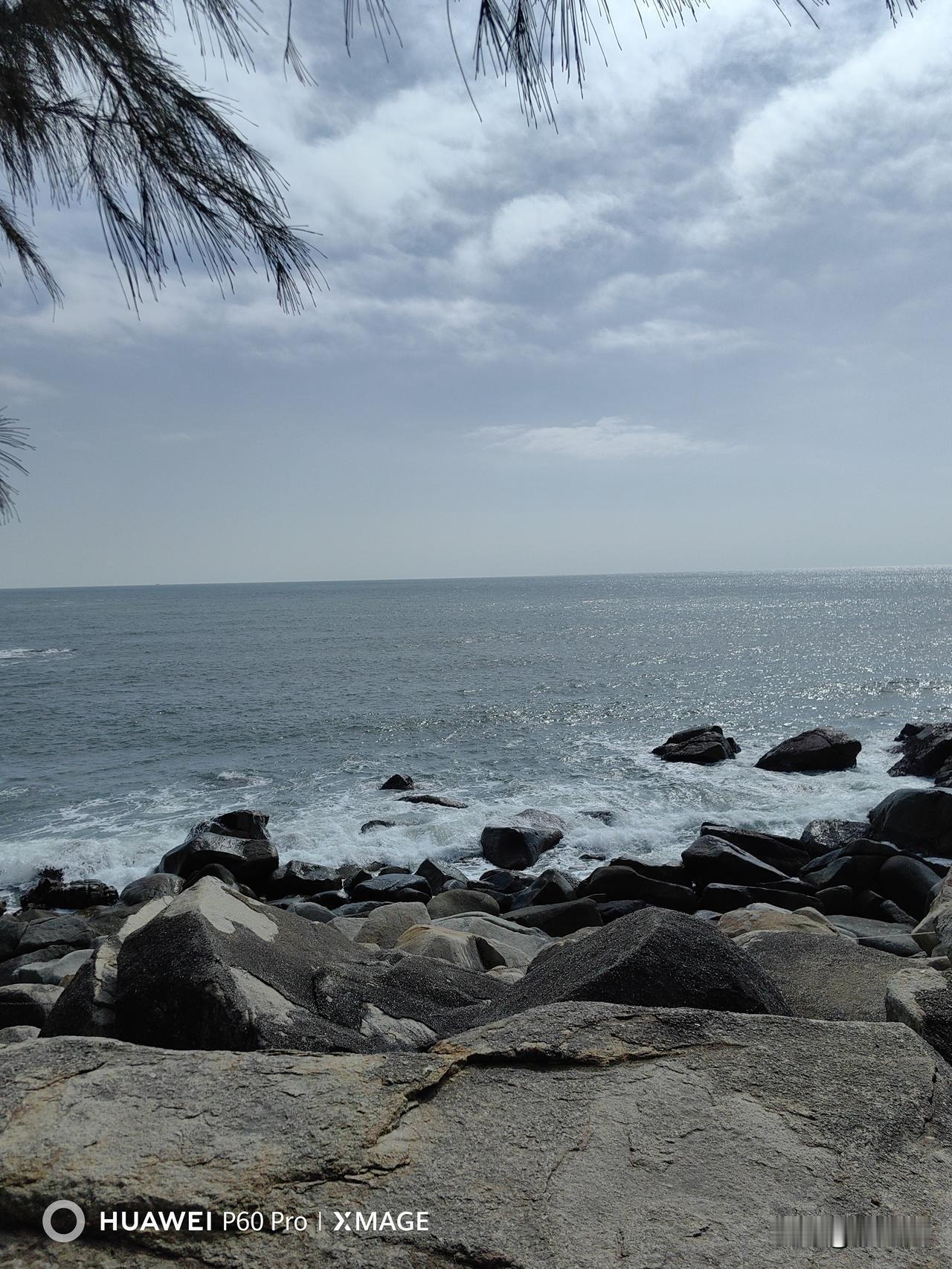   风摇两岸芦
“月落”对“风摇”，一为天象变化、一为自然动态；“一江”对“两岸