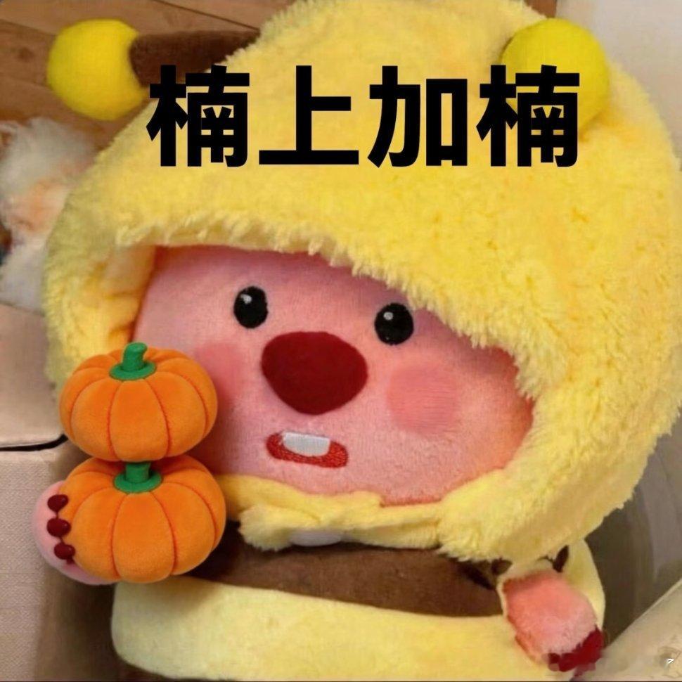 海狸表情包。 