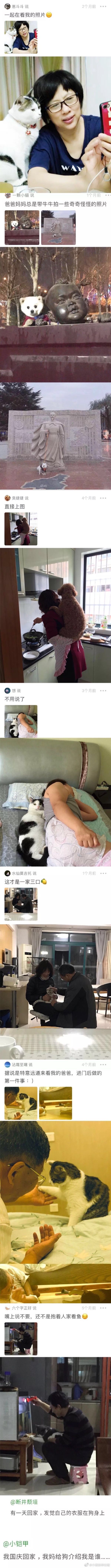当爸妈养宠物后！【搞笑】 ​​​