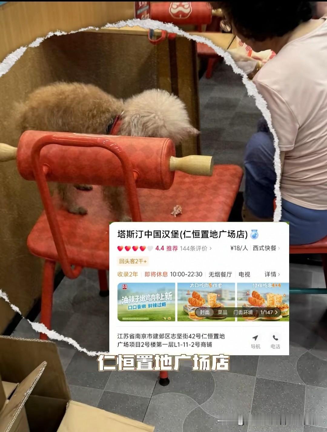 国内一家知名汉堡店允许狗进店，狗还上凳，狗主人甚至直接在凳子上投喂，这你能忍吗？