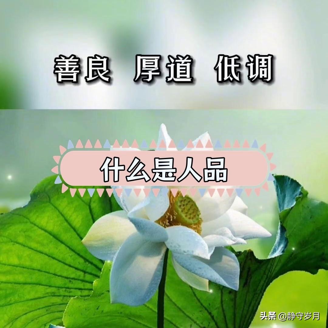 在我看来，人这一生最难得的，不是情商多高、多会说话，而是靠谱、善良、有分寸。
 