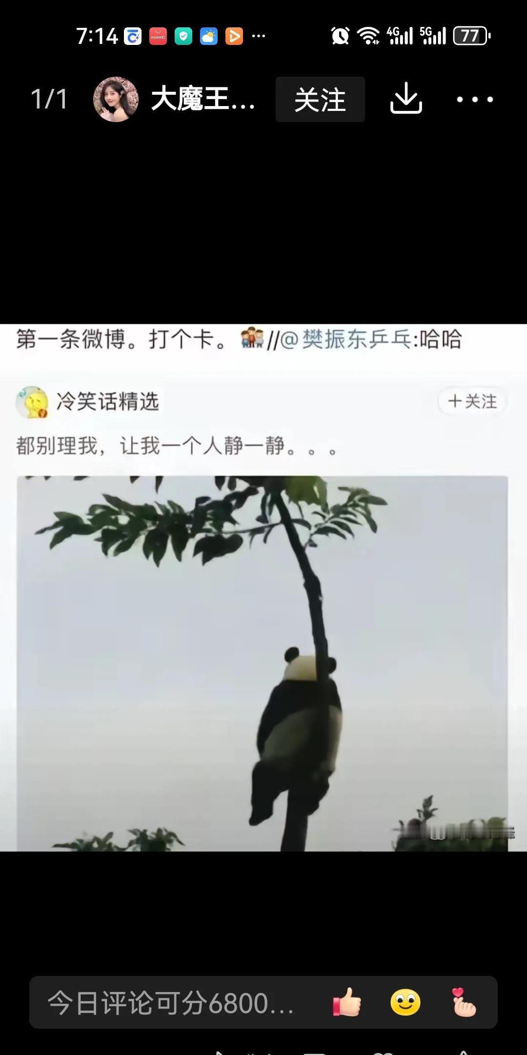 樊振东微博上的一幅画引发大家浓厚兴趣，图中一只熊猫蹲在树上背对大家，孤独的望向远