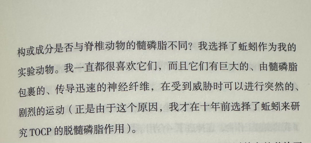 蚯蚓 