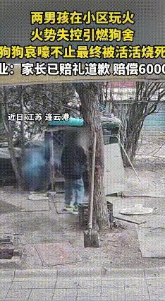 俩孩童玩火引燃狗棚，笼中狗狗不幸丧生
 2月1日，江苏东海县某小区里，两个孩子玩