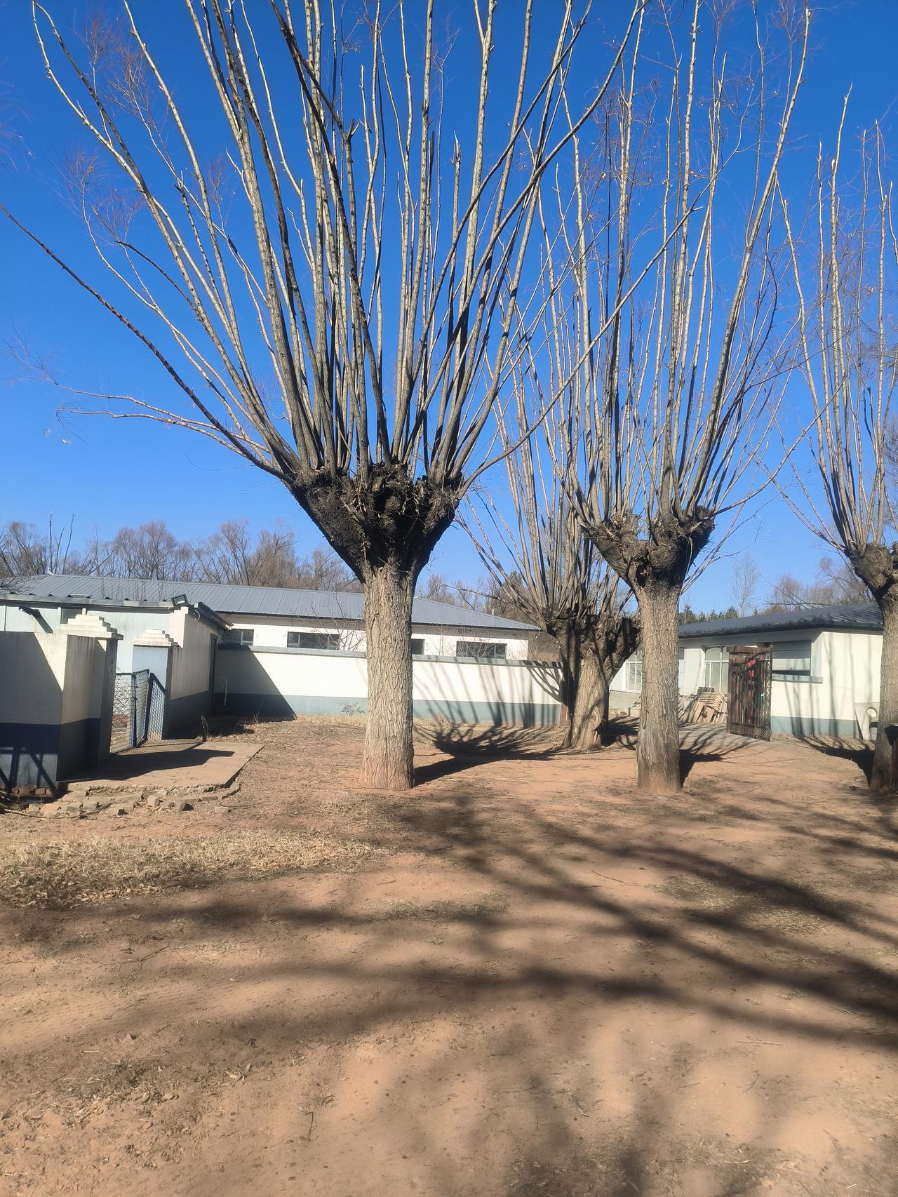 自己的苦只有自己知道，自己选择的路只有自己硬着头皮走下去。人这一生总要咽下一些委