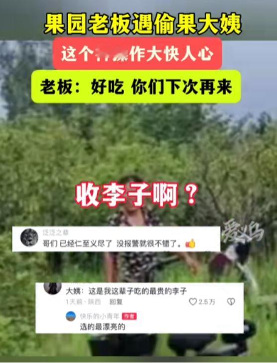 抓贼的最高境界，让贼心甘情愿掏钱！山东济宁，一果园内，两个大妈拿着水桶，在偷摘李