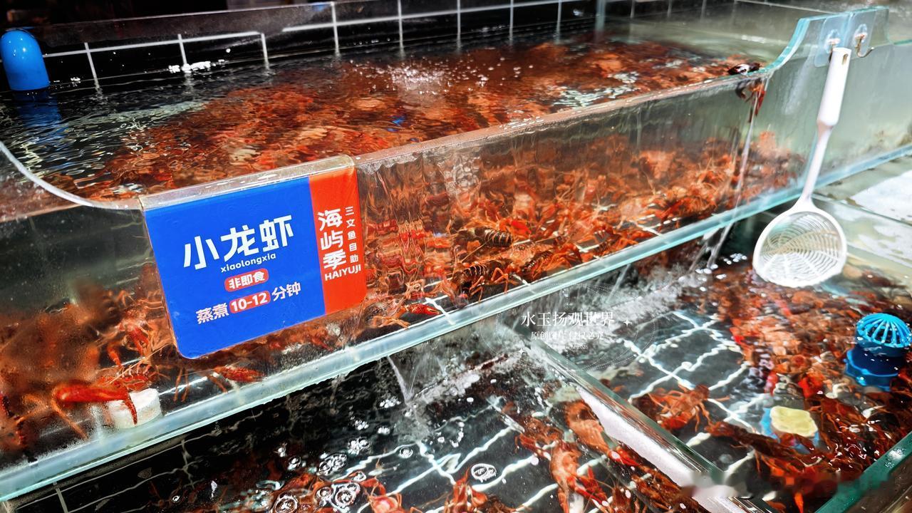 游走在海宁银泰的闹市之中，原本只是逛街疲惫，想寻一处填饱肚子，却意外邂逅了海屿季