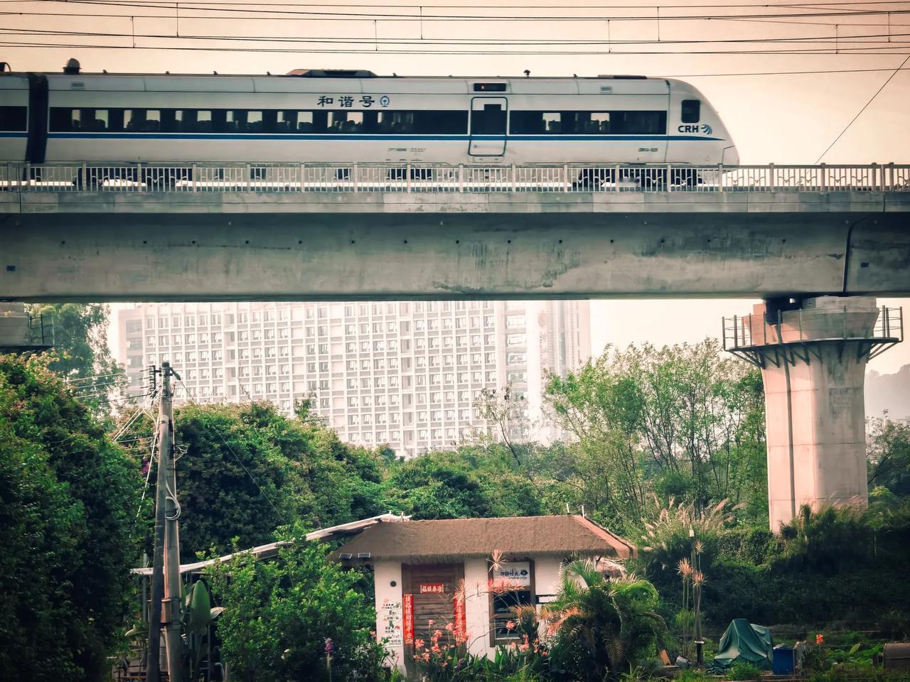 Pura80ultra XMAGE影像。2026华为影像大赛，花粉4～5月征稿，