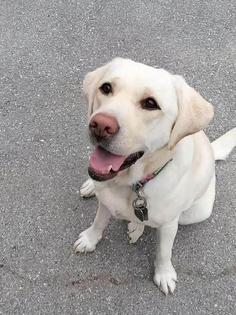 好消息来了[大笑]
芬迪大宝贝的好消息来了。
根据大连残联的回访电话，
明确说已
