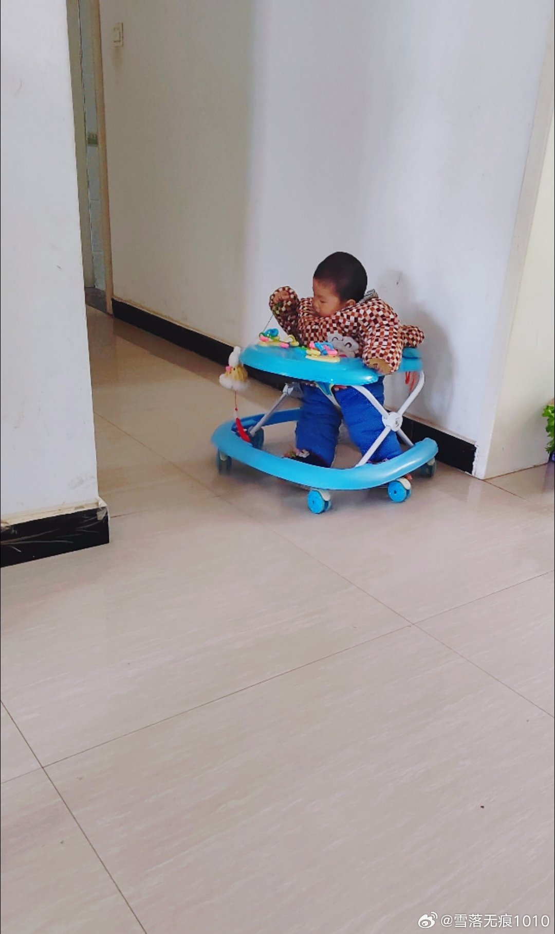 我的小崽崽会自己找妈妈了我在卧室收拾东西就听见客厅传来学步车“哗啦、哗啦”的声音
