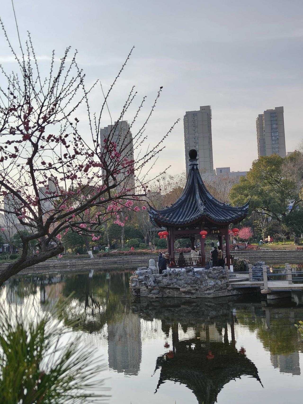 公园随手拍实景图分享！

和平公园散步随手拍实景图分享～

🌲🌲🌲🌲🌸