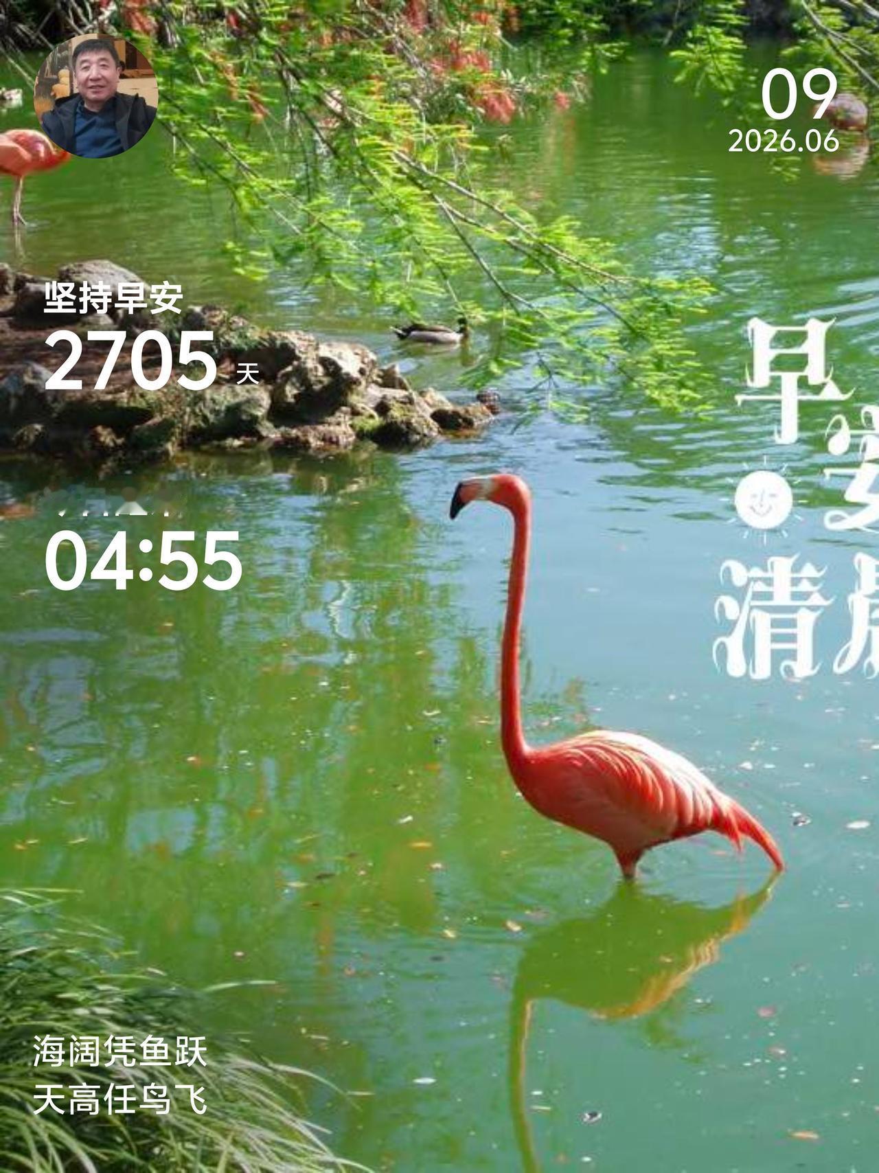 你坚持了最久的早起有多久近七年的晨光，从不是刻意逞强，是日复一日和清晨温柔相逢。