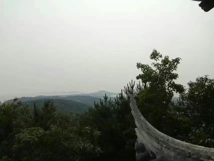 多年前从石嵝山顶拍冲山，而如今山上的竹子与树越长越高，己经拍不到了。
但是现在有