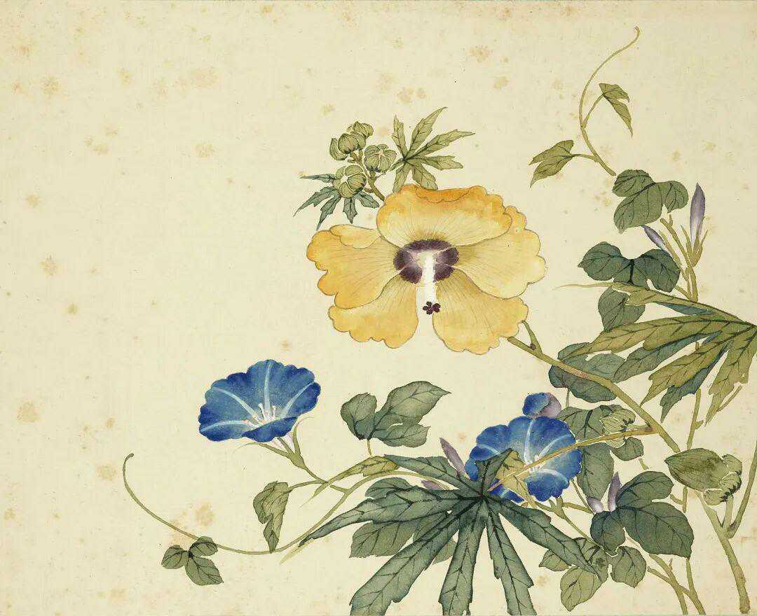 清 沈振麟 十二月花神册。沈振麟（生卒年不详，生活于19世纪），字凤池，一作凤墀