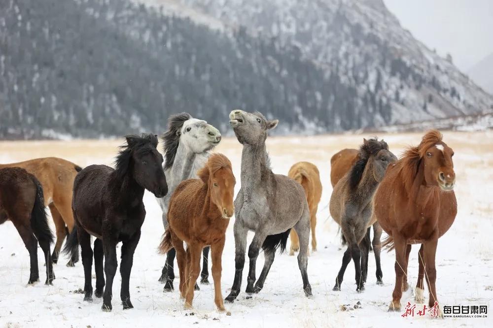 【争取有清醒的自觉，健康的身体，干净的三观，稳定的情绪，翻篇的能力，懂你的朋友，