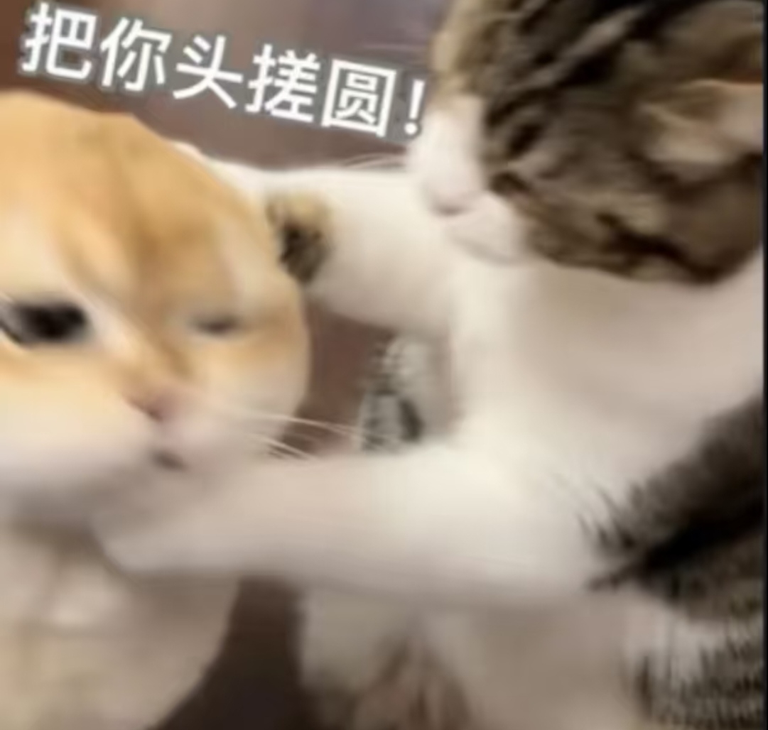 评论什么都过滤大眼你这样干脆把评论功能关了吧，服了都 