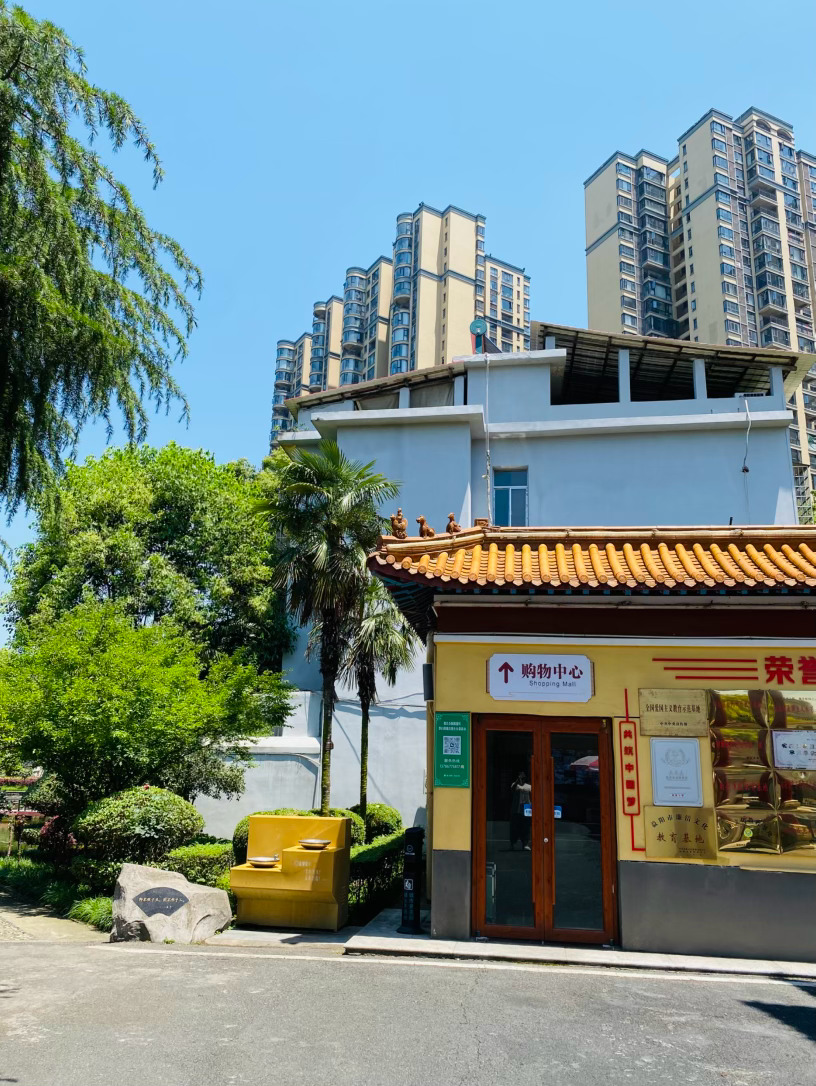生活手记记录真实生活摄影摄影摄影 初夏的风，带着草木的清香，吹过南县这座浸润着温