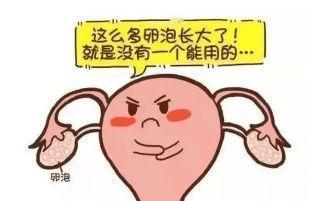 #健康真探社#【卵泡为什么成熟不了？这6个因素在捣乱！】卵子和精子是孕育新生命所