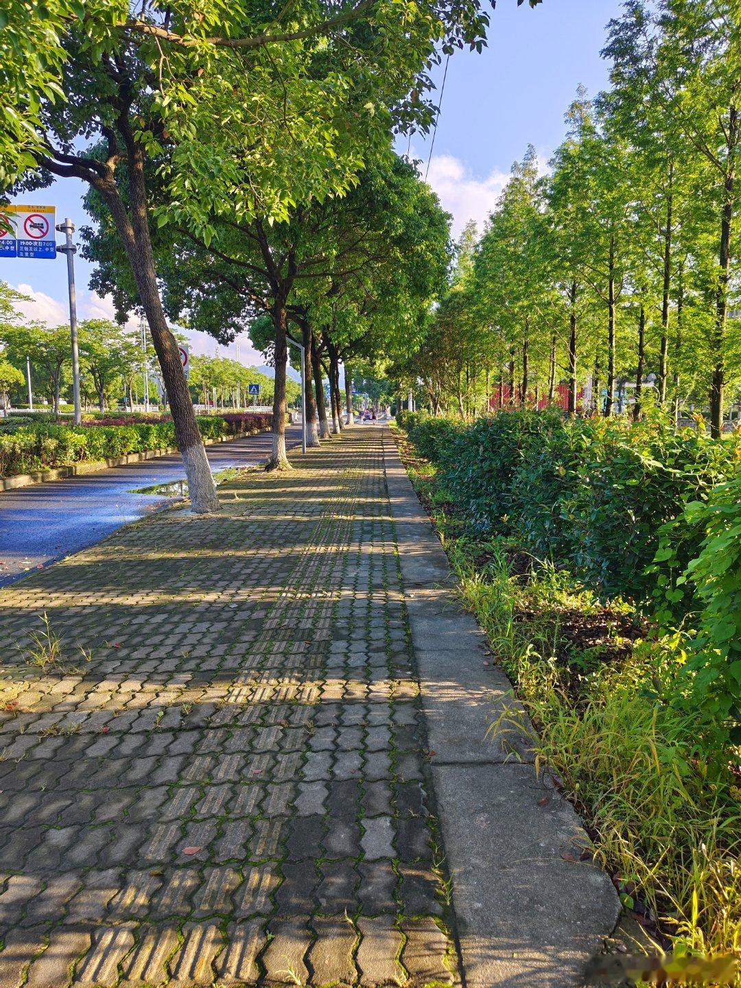 五点半的大太阳，有入伏的味道了。先晒晒自己，走着！