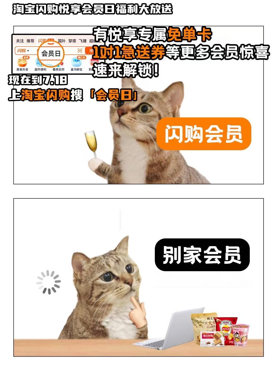 淘宝闪购会员日每月17日解锁专属权益美团会员外卖会员美团神券居家看球美食7月17