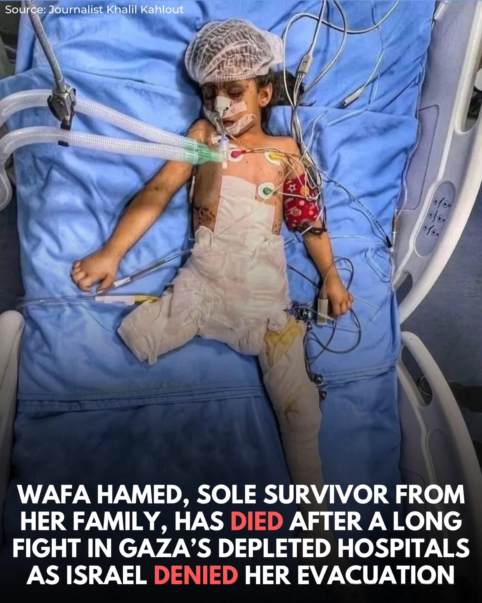 🟥来自加沙的年轻女孩瓦法·哈米德（Wafa Hamed）——在以军去年轰炸她家