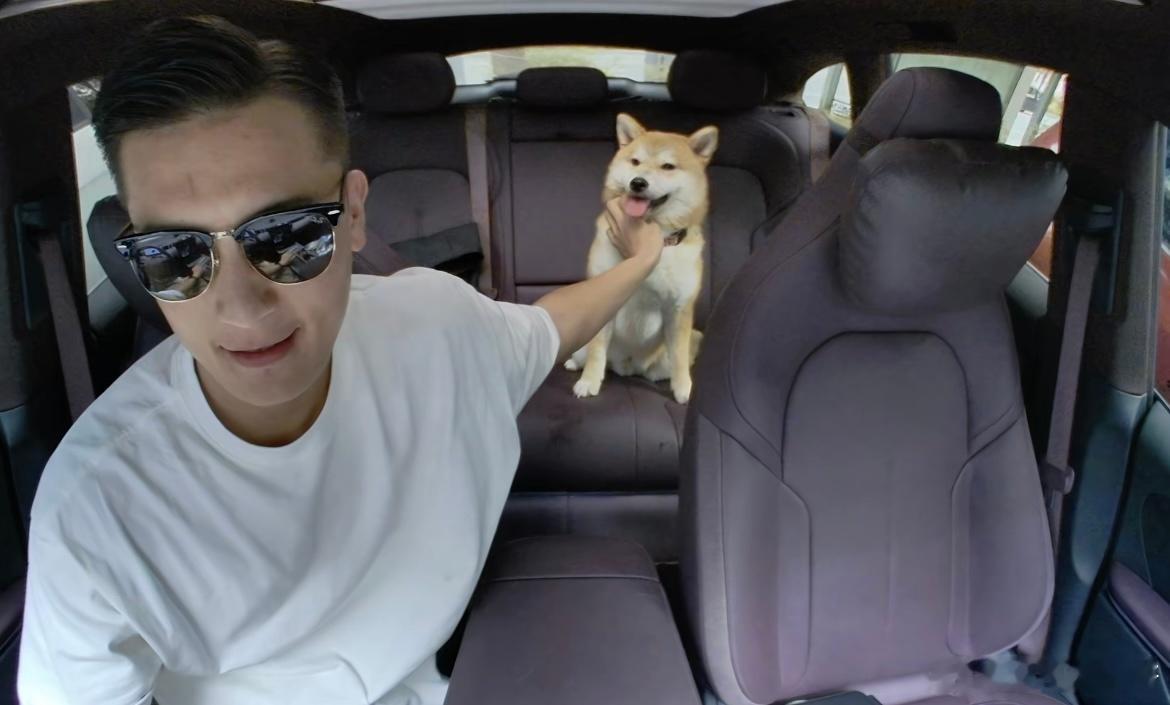 后来小狗找到了爱它的麻麻 