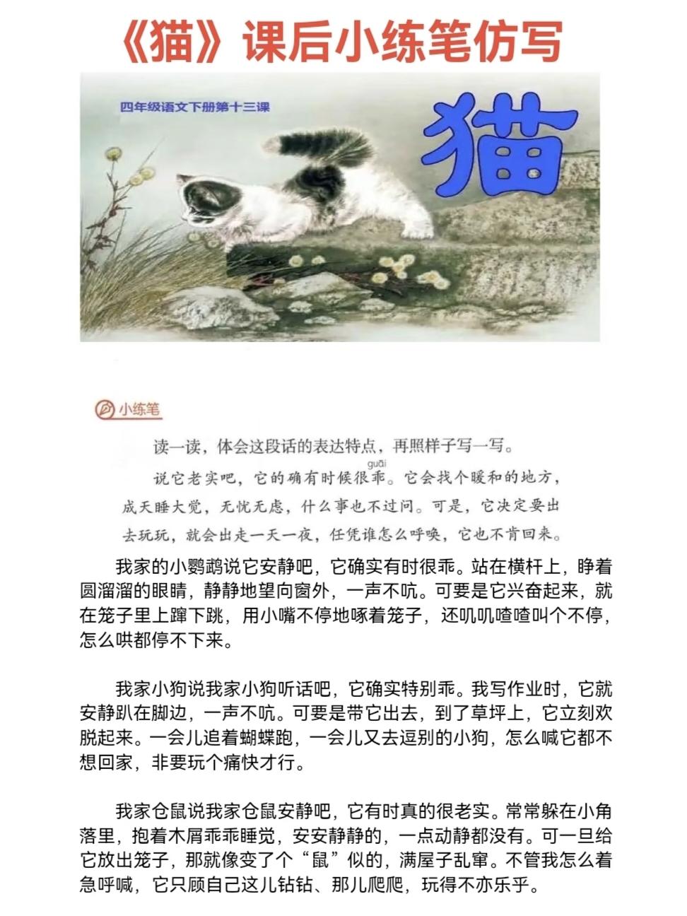 四年级下册语文，第四单元第13课《猫》课文仿写小练笔，收藏参考学习~四年级语文 