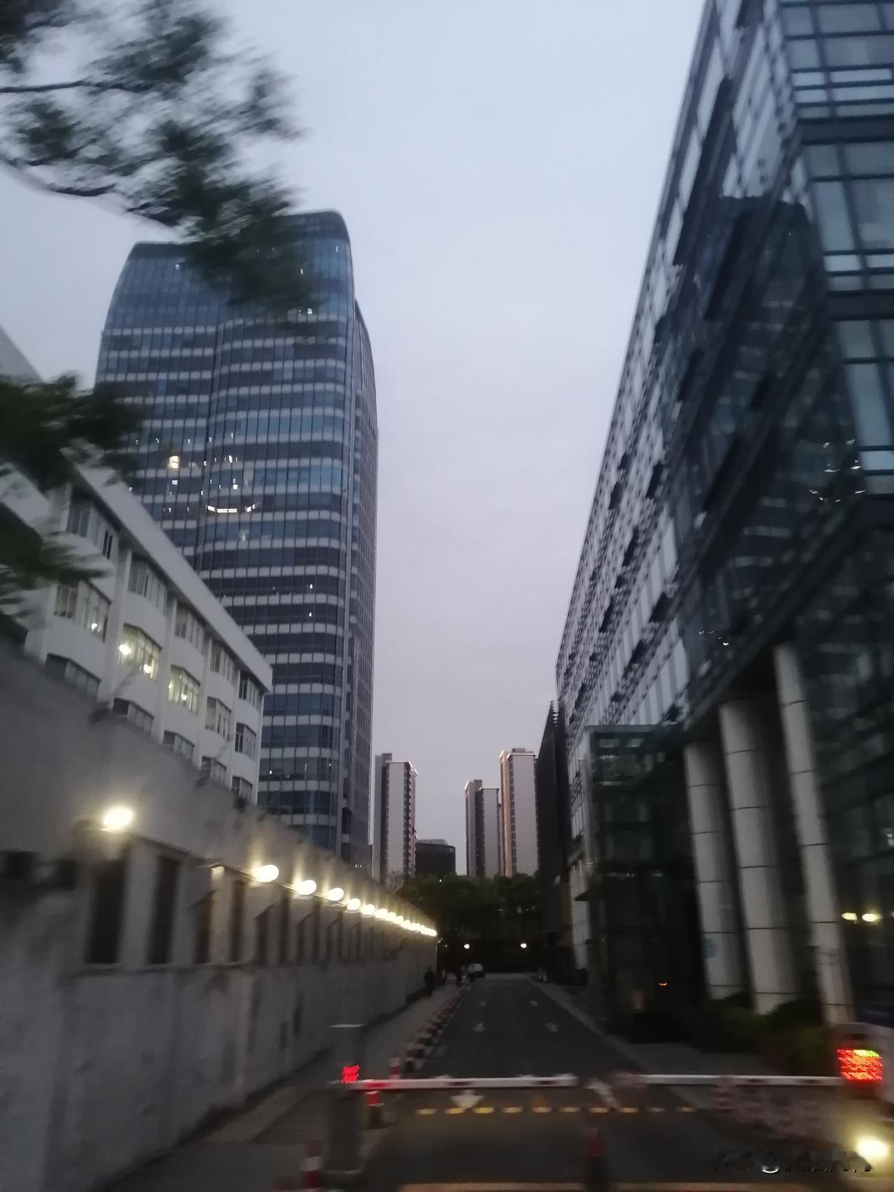 每天我都会写头条，有感悟了就多写点，不指望大富大贵发大财，就把头条当好朋友，把我