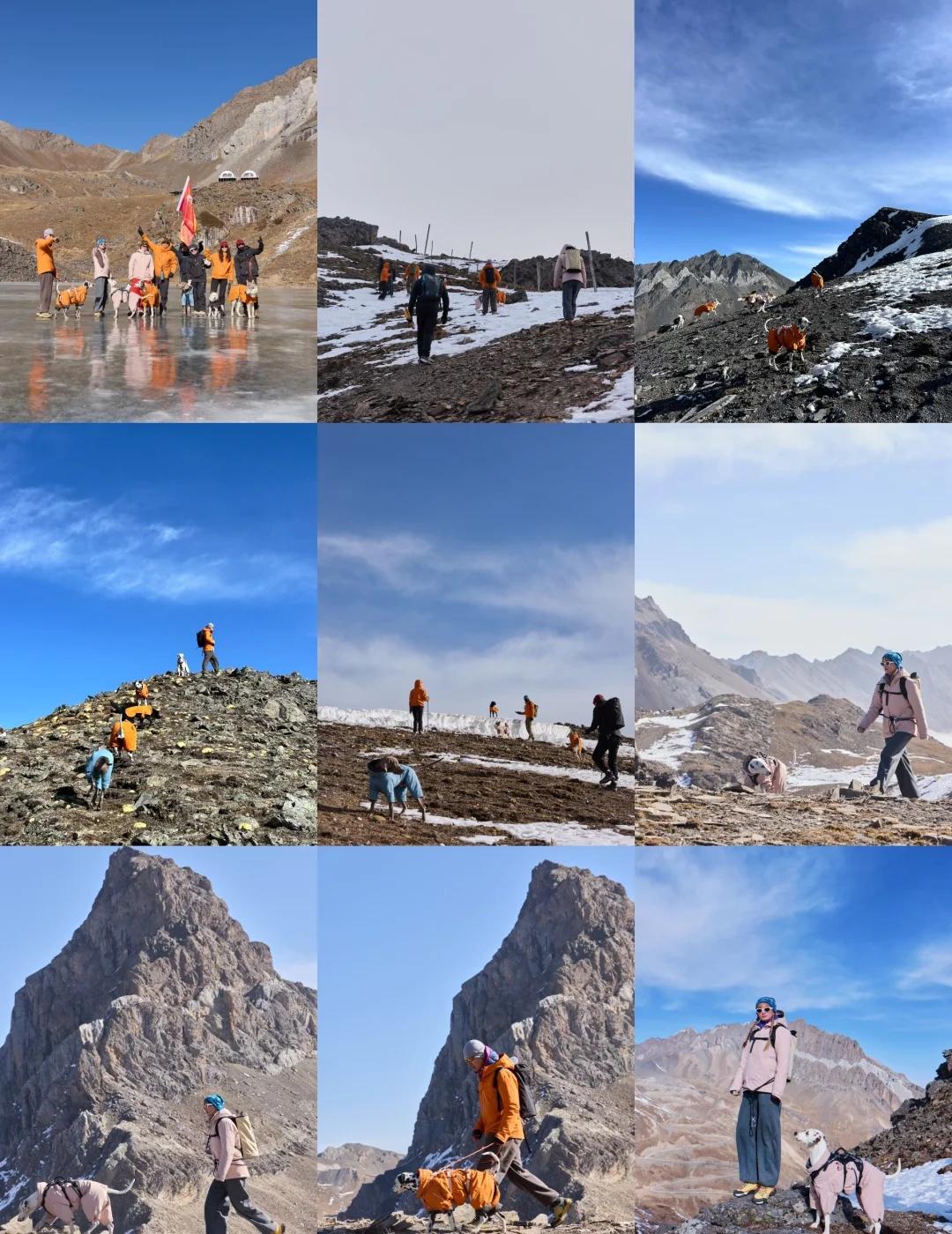 4916海拔大哇梁子徒步我的登山搭子是四条腿
带狗子冲大哇梁子的快乐谁懂啊！
四