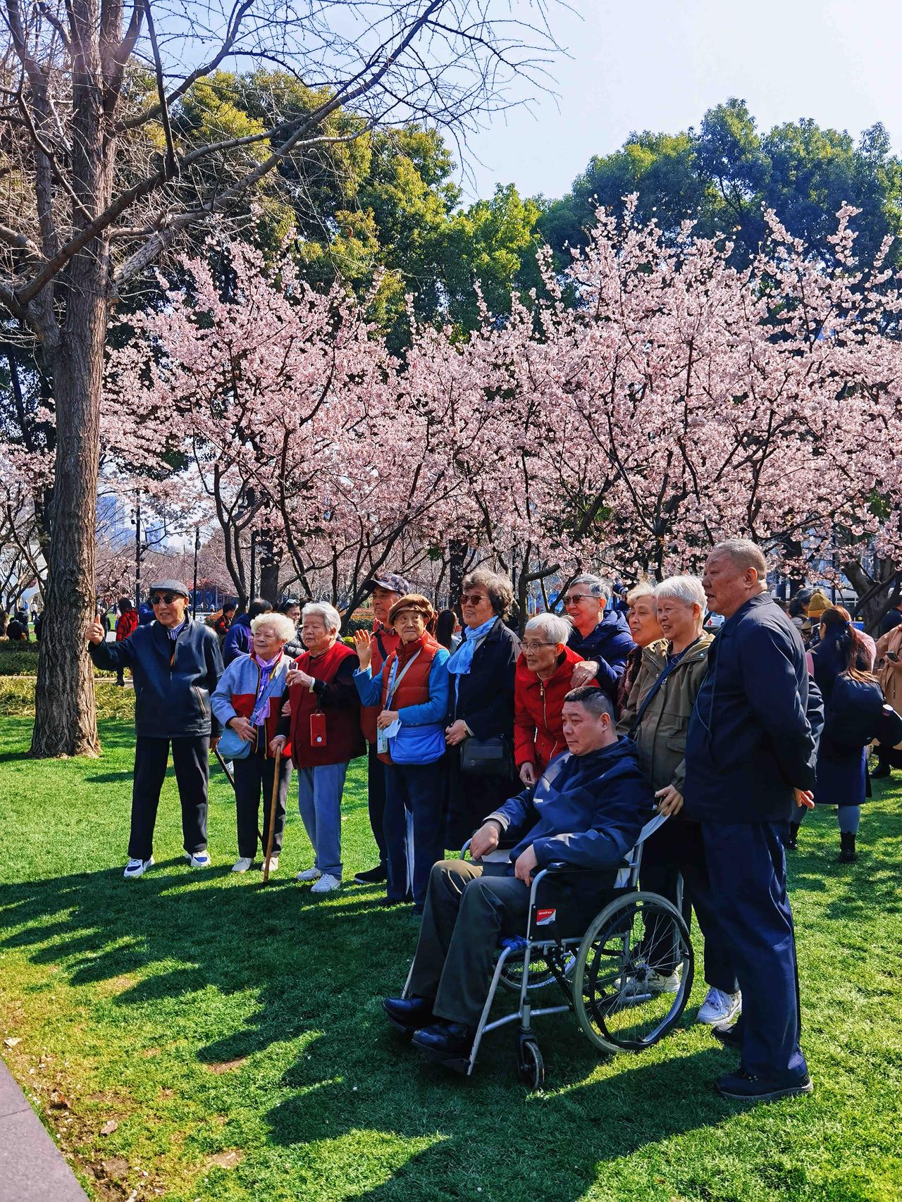 在静安雕塑公园，被一群八九十岁的老人治愈了……

3月12日，植树节。
春风徐徐