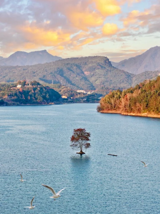 被严重低估的泰顺，来一次就爱上了！！