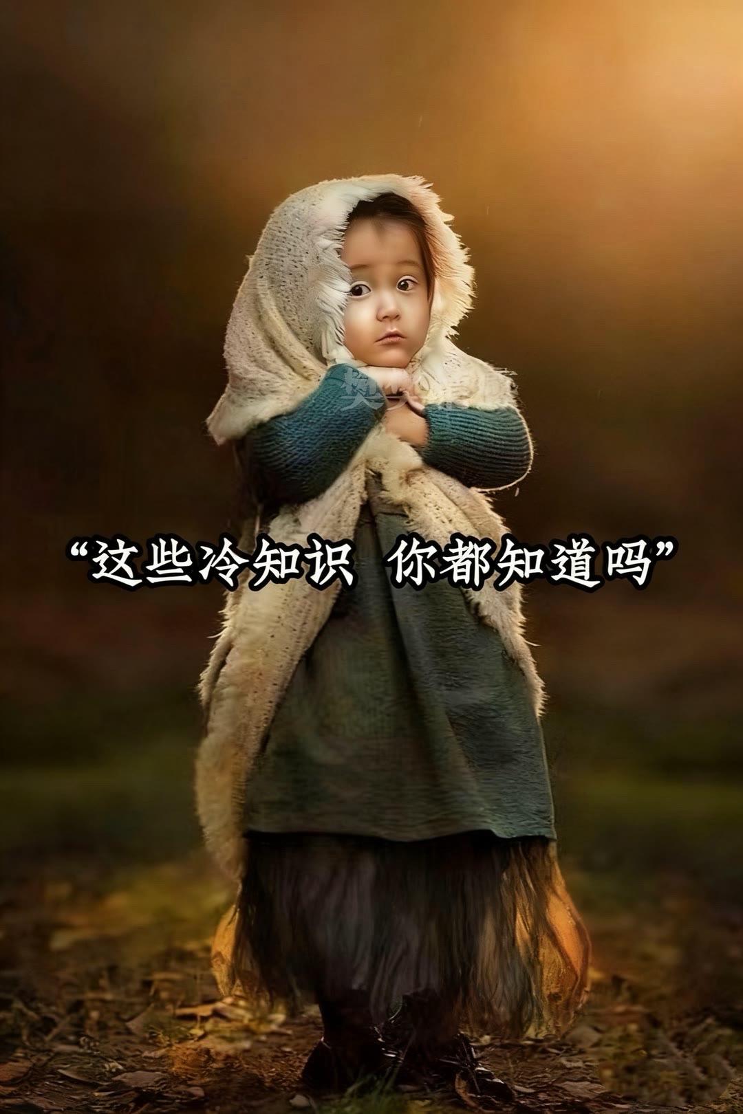 冷知识 创作者扶持计划