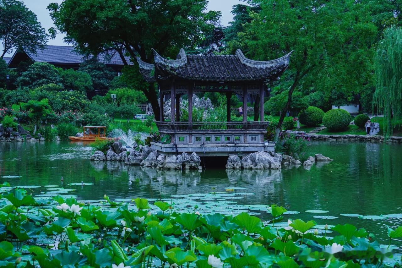 我的夏花｜古亭伴素莲，偷得半日江南闲

城南愚园，是金陵深藏的晚清私家古园。初夏
