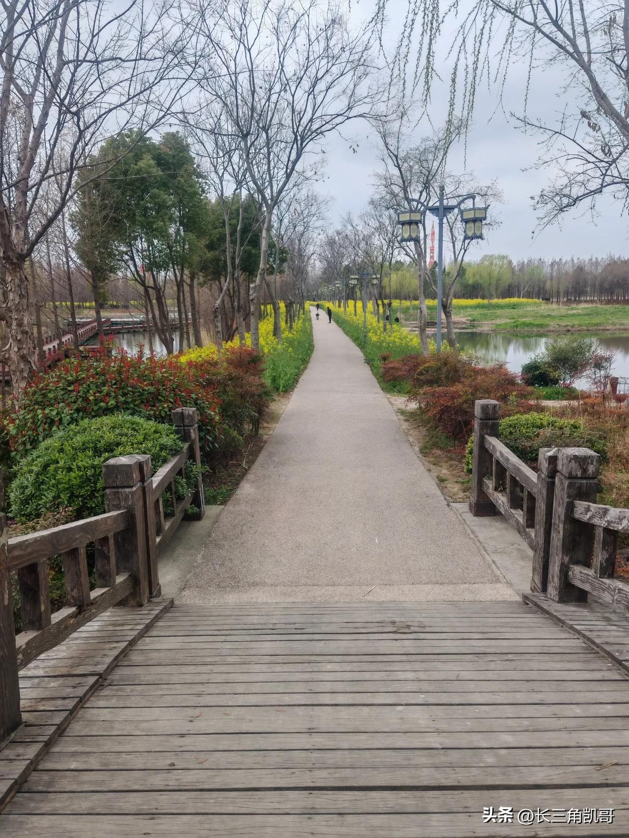 年年岁岁花相似，岁岁年年人不同。
一年一年的时间过得真快，但是这大自然好像是日复