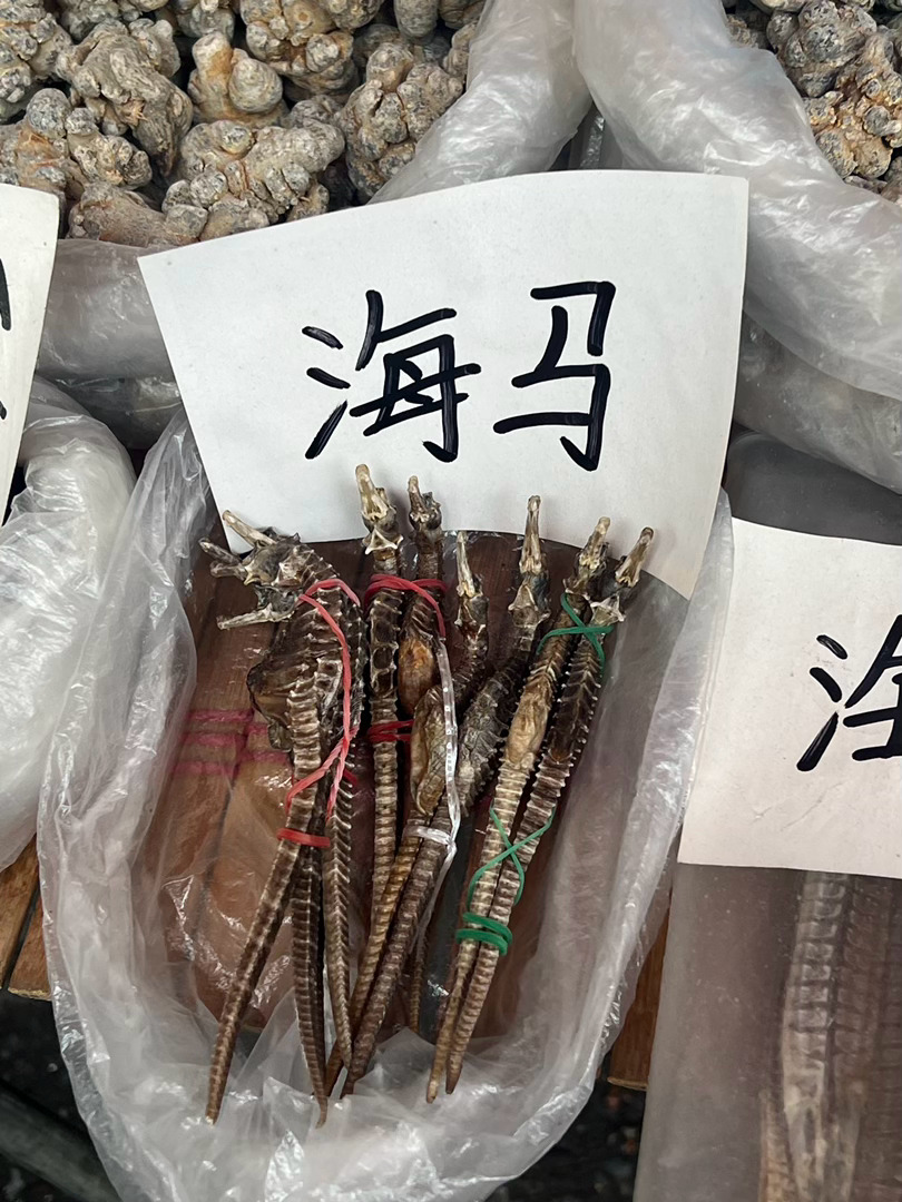 充满生物多样性的市集 一种南方特色 微博影像年 撞色挑战